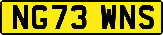 NG73WNS