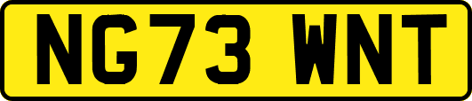 NG73WNT