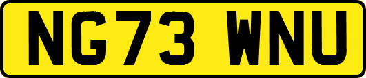 NG73WNU