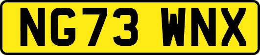 NG73WNX