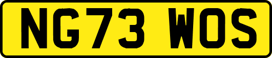 NG73WOS