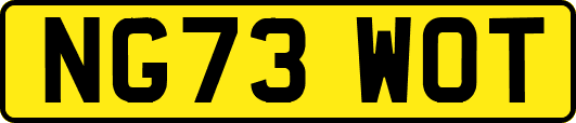 NG73WOT