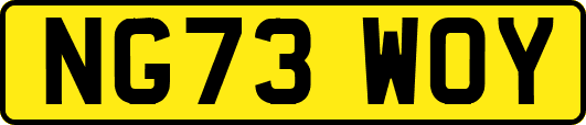 NG73WOY