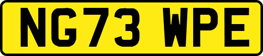 NG73WPE