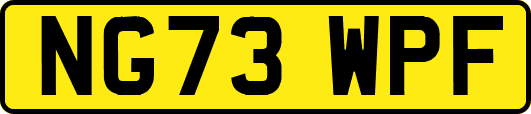 NG73WPF