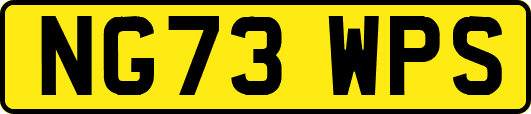 NG73WPS