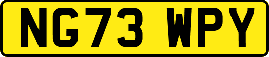 NG73WPY