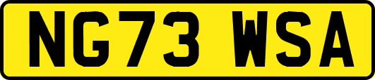 NG73WSA