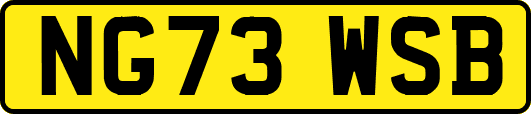 NG73WSB