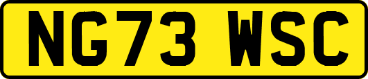 NG73WSC