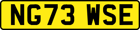 NG73WSE