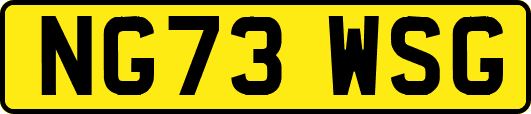 NG73WSG