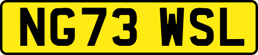NG73WSL
