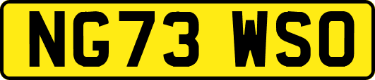 NG73WSO