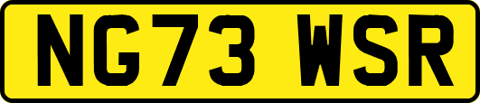 NG73WSR