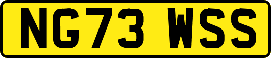 NG73WSS