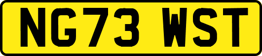 NG73WST