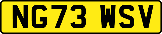 NG73WSV