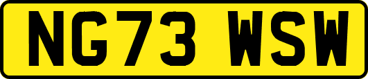 NG73WSW