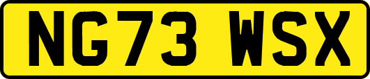 NG73WSX
