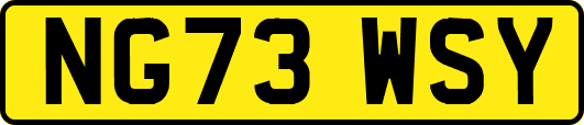 NG73WSY