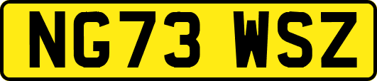 NG73WSZ