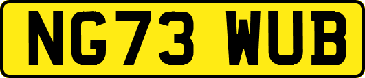 NG73WUB