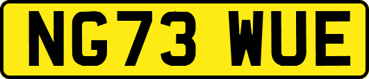 NG73WUE