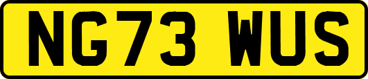 NG73WUS