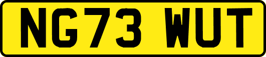 NG73WUT