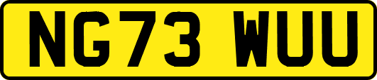 NG73WUU