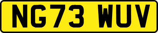 NG73WUV
