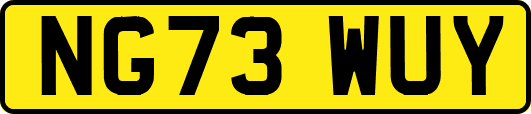 NG73WUY