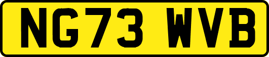 NG73WVB