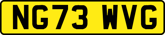 NG73WVG