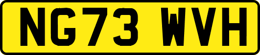NG73WVH