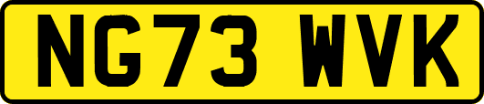 NG73WVK