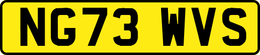NG73WVS