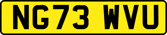 NG73WVU