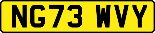 NG73WVY