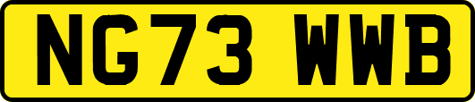NG73WWB