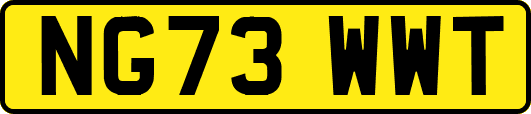 NG73WWT