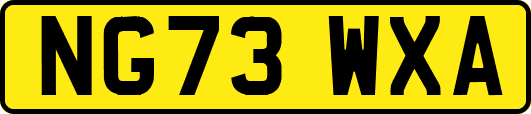 NG73WXA