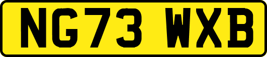 NG73WXB
