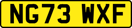 NG73WXF