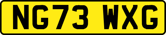NG73WXG