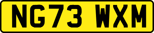 NG73WXM