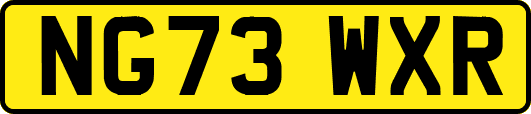 NG73WXR