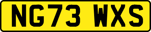 NG73WXS
