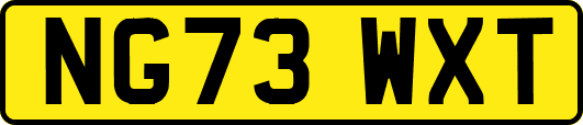 NG73WXT